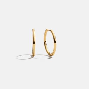 Verbena 18K Gold Earrings - 15MM